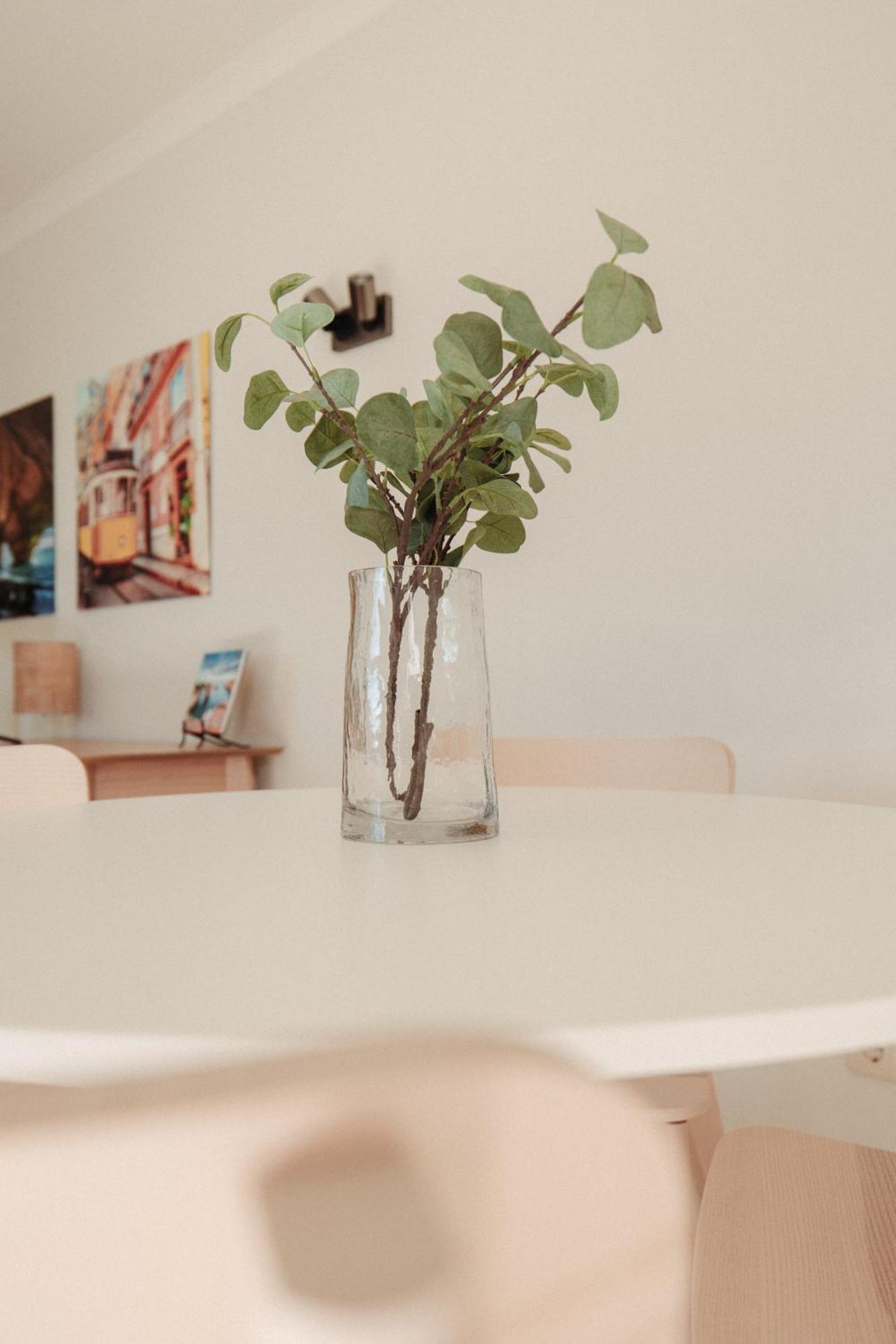 Casa Velha Apartments - Adults Friendly アルブフェイラ エクステリア 写真