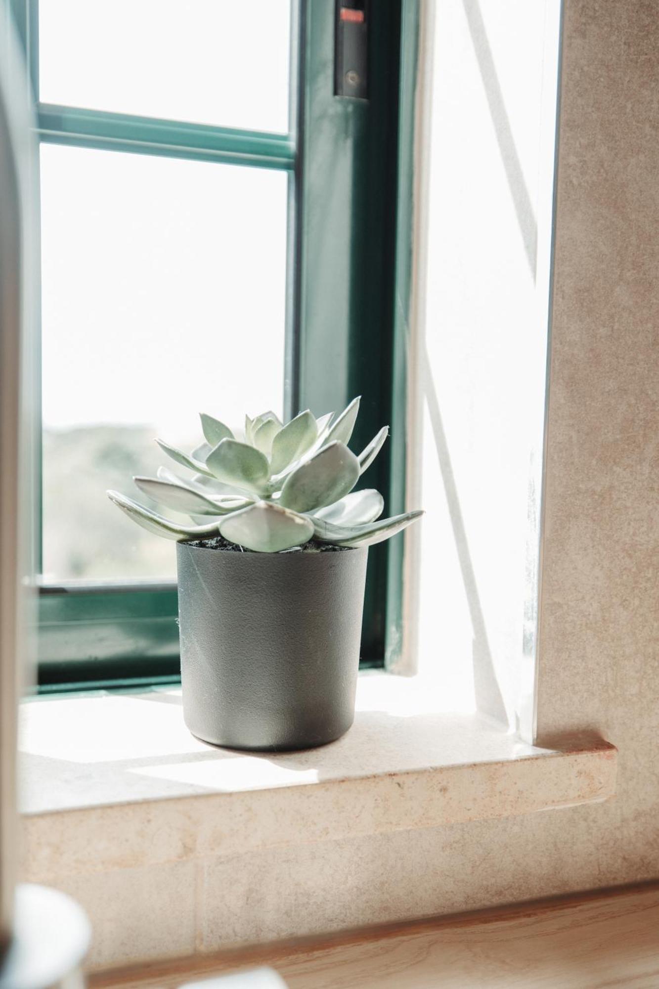 Casa Velha Apartments - Adults Friendly アルブフェイラ エクステリア 写真